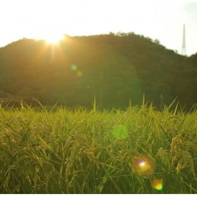 【毎月定期便】猪名川町のお米・コシヒカリ(精米)約18kg×全3回【4085220】