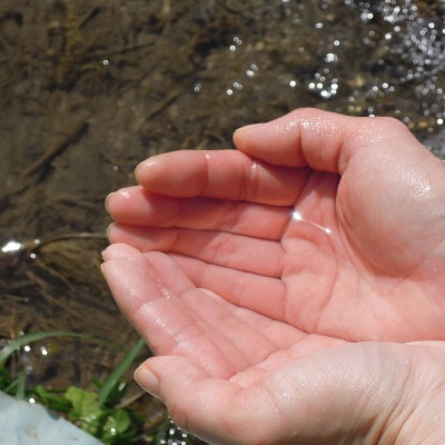 【毎月定期便】猪名川町のお米・キヌヒカリ(玄米)20kg×全5回【4084791】