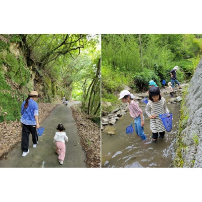 『とちはら山空の家』自然遊び一日体験チケット　1枚(1名様分)【1573792】