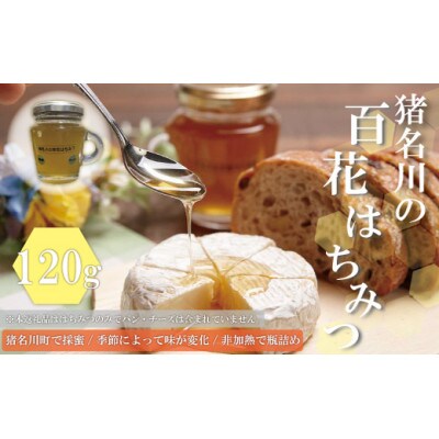 猪名川の百花はちみつ(桜&れんげ)1本ずつ(計2本)セット【1503233】