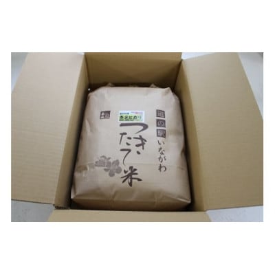 【毎月定期便】猪名川町のお米・キヌヒカリ(玄米)20kg×全4回【4085208】