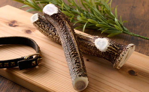 【小型〜中型犬向け】鹿の角Mサイズ丸々1本×2本(小型〜中型犬用約15cm2本)【1596498】