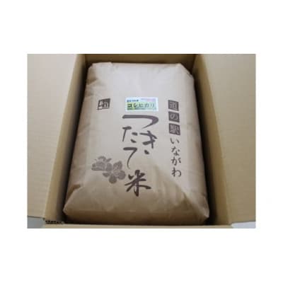 【毎月定期便】猪名川町のお米(コシヒカリ20kg)玄米×全3回【4085217】