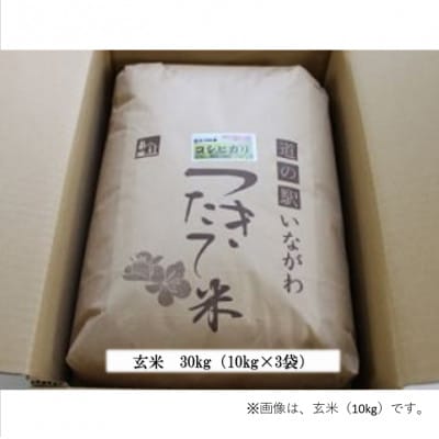 猪名川町のお米・コシヒカリ(玄米)30kg【1497800】