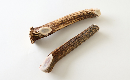 【小型〜中型犬向け】鹿の角Mサイズ丸々1本×2本(小型〜中型犬用約15cm2本)【1596498】