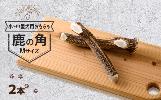 【小型〜中型犬向け】鹿の角Mサイズ丸々1本×2本(小型〜中型犬用約15cm2本)【1596498】