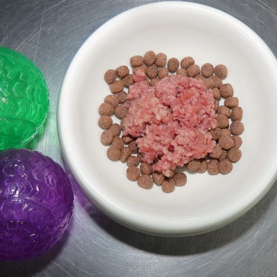 【冷凍】牛たん皮ミンチ ペット用　計3kg(1kg×3パック)【配送不可地域：離島】【1640664】