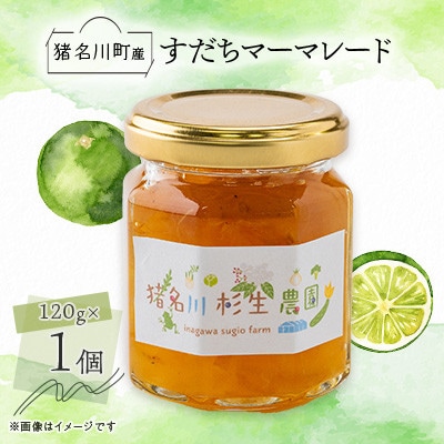 【猪名川町産】すだちマーマレードジャム　120g×1個【1587975】
