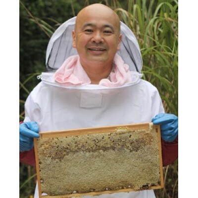 猪名川の百花はちみつ(桜&れんげ)1本ずつ(計2本)セット【1503233】