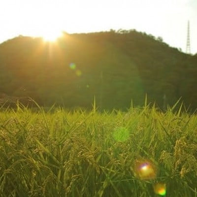 【毎月定期便】猪名川町のお米・キヌヒカリ(精米)約27kg×全2回【4086364】