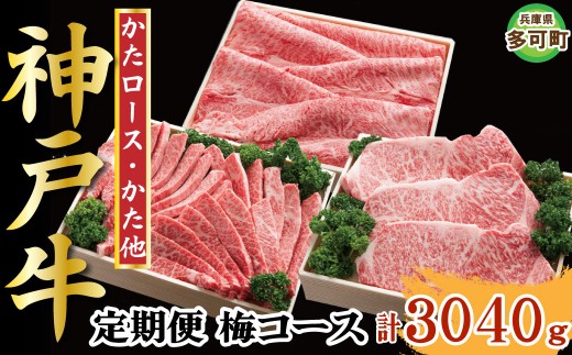 神戸牛 定期便「梅」コース 全６回 TK梅 [1219]