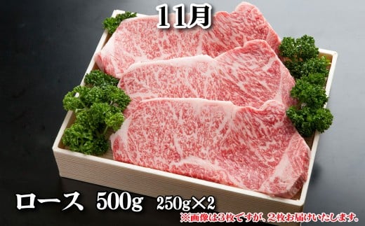 神戸牛 定期便「竹」コース 全６回 TK竹 [1218]