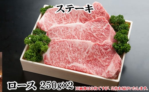 神戸牛 お肉三昧セット 1500g TKLS10 [1216]