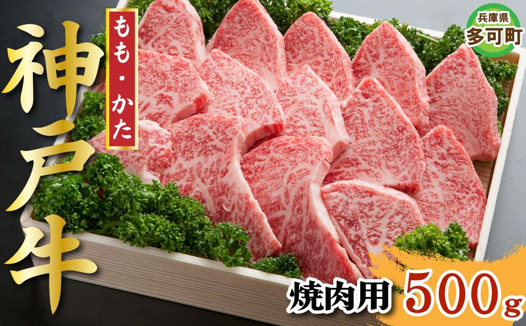 神戸牛 焼肉 500g TKY2  [1208]