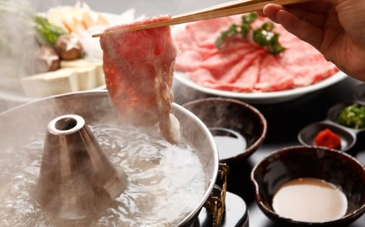 神戸牛 しゃぶしゃぶ・すき焼き 500g TKS2 [1207]