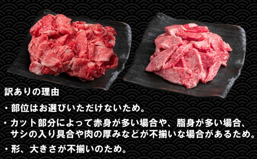 【訳あり】神戸牛 切り落とし肉・焼肉用（不揃い） 800g TKSY2 [1206]