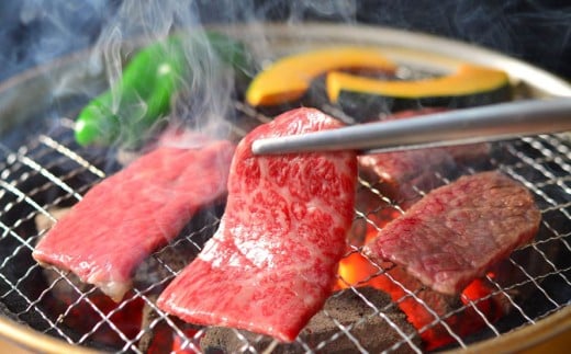 【訳あり】神戸牛 切り落とし肉・焼肉用（不揃い） 800g TKSY2 [1206]