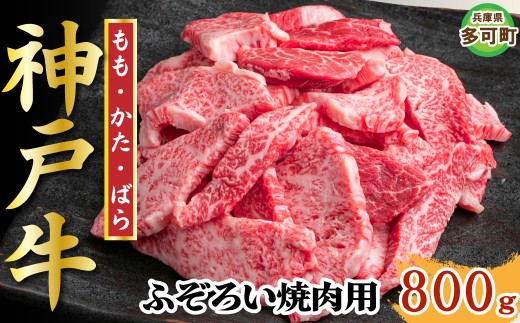 【訳あり】神戸牛 焼肉用（不揃い） 800g TKY1-2 [1205]