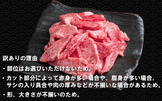 【訳あり】神戸牛 焼肉用（不揃い） 400g TKY1 [1203]