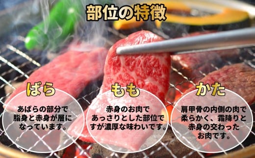 【訳あり】神戸牛 焼肉用（不揃い） 400g TKY1 [1203]