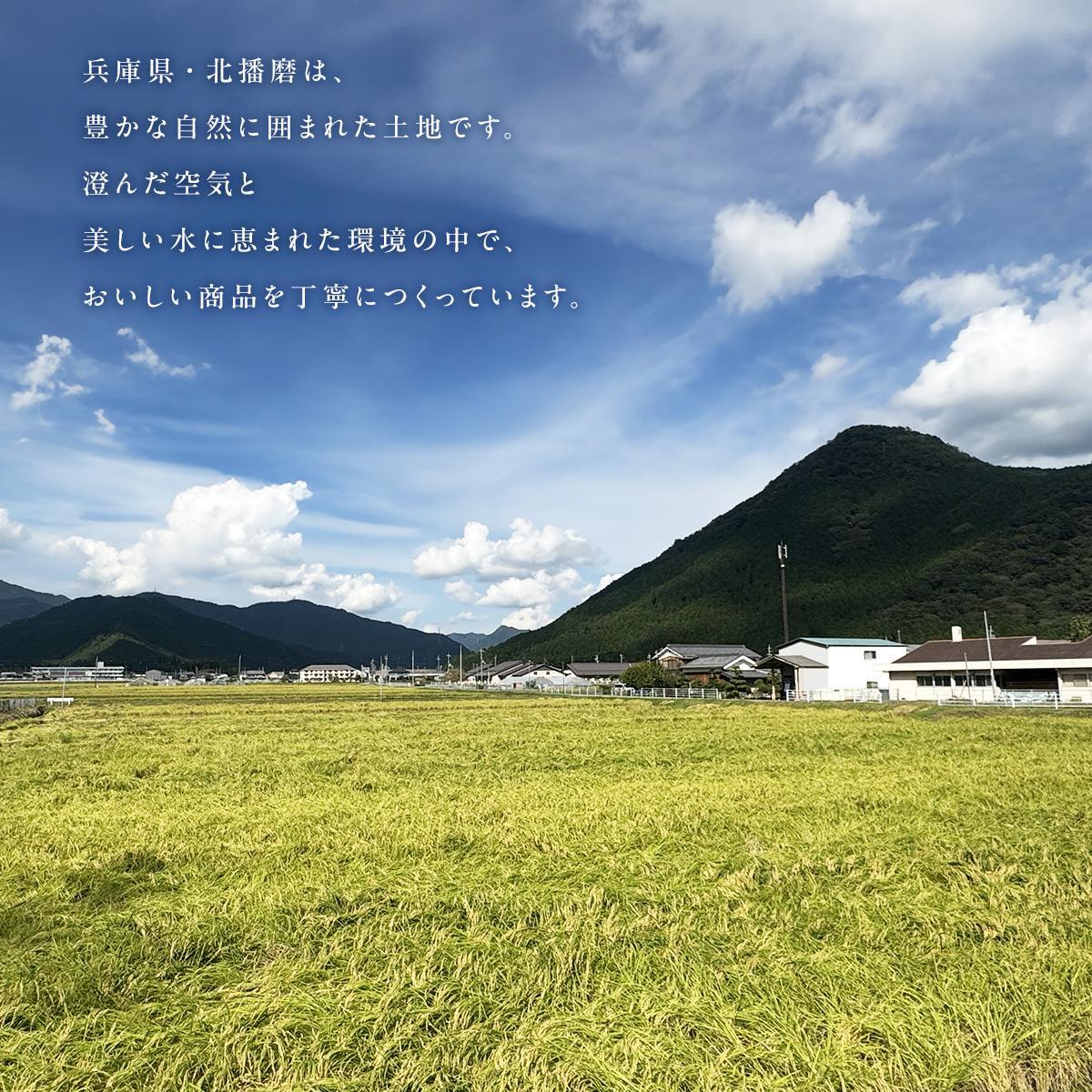 老舗肉屋のデミグラスソースハンバーグ 150g×12個 [1336] ハンバーグ デミグラスソース 冷凍 温めるだけ 湯せん クワムラハム