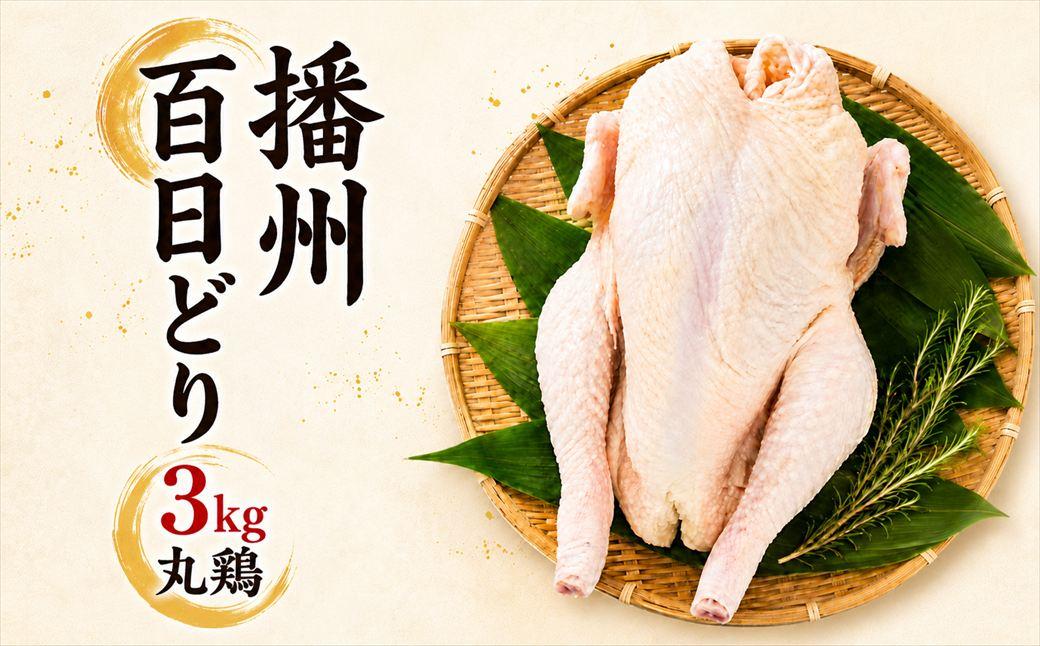 播州百日どり 丸鶏 1羽 約3kg クリスマス バーベキュー BBQ 丸焼き サムゲタン 参鶏湯 [1345]