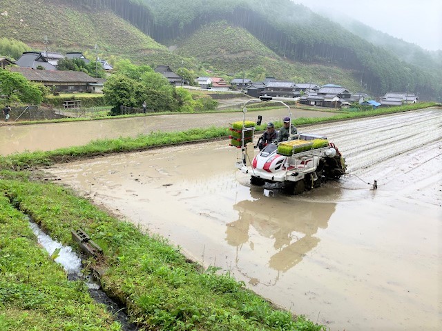 【定期便】令和７年産 お米 ３kg×３回 コシヒカリ 精米 兵庫県多可町産 [1237]