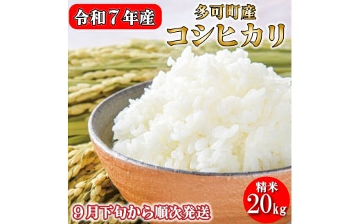 令和７年産 お米 20kg 5kg×4 コシヒカリ 精米 兵庫県多可町産 [1221]
