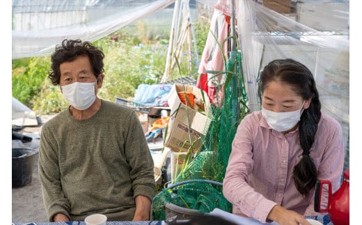 【季節限定】伝統野菜と在来種のピュアオーガニック野菜セット４か月定期便[1181]