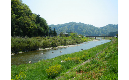 国産有機醤油と国産丸大豆醤油、人気のまいにちのこめ油詰合わせ[856]