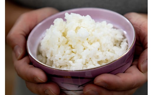 きよしま米【精米】５kg×２袋[823]