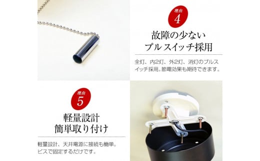 シーリングスポットライト プルスイッチ 天井照明 LED昼白色付属[678]