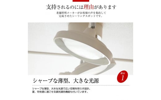 LEDシーリングスポットライト ストレート 天井照明 リモコン[675]