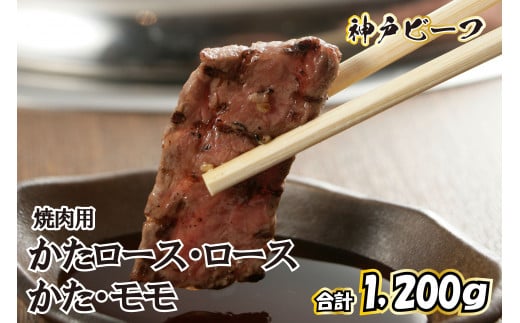神戸牛 焼肉用セット TKYS5[615]