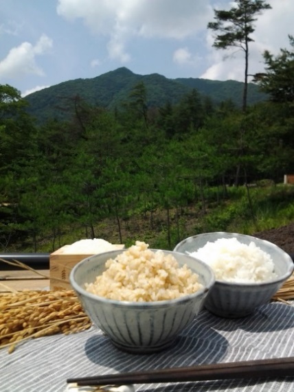 多可町のおいし〜いお米1年分[004]