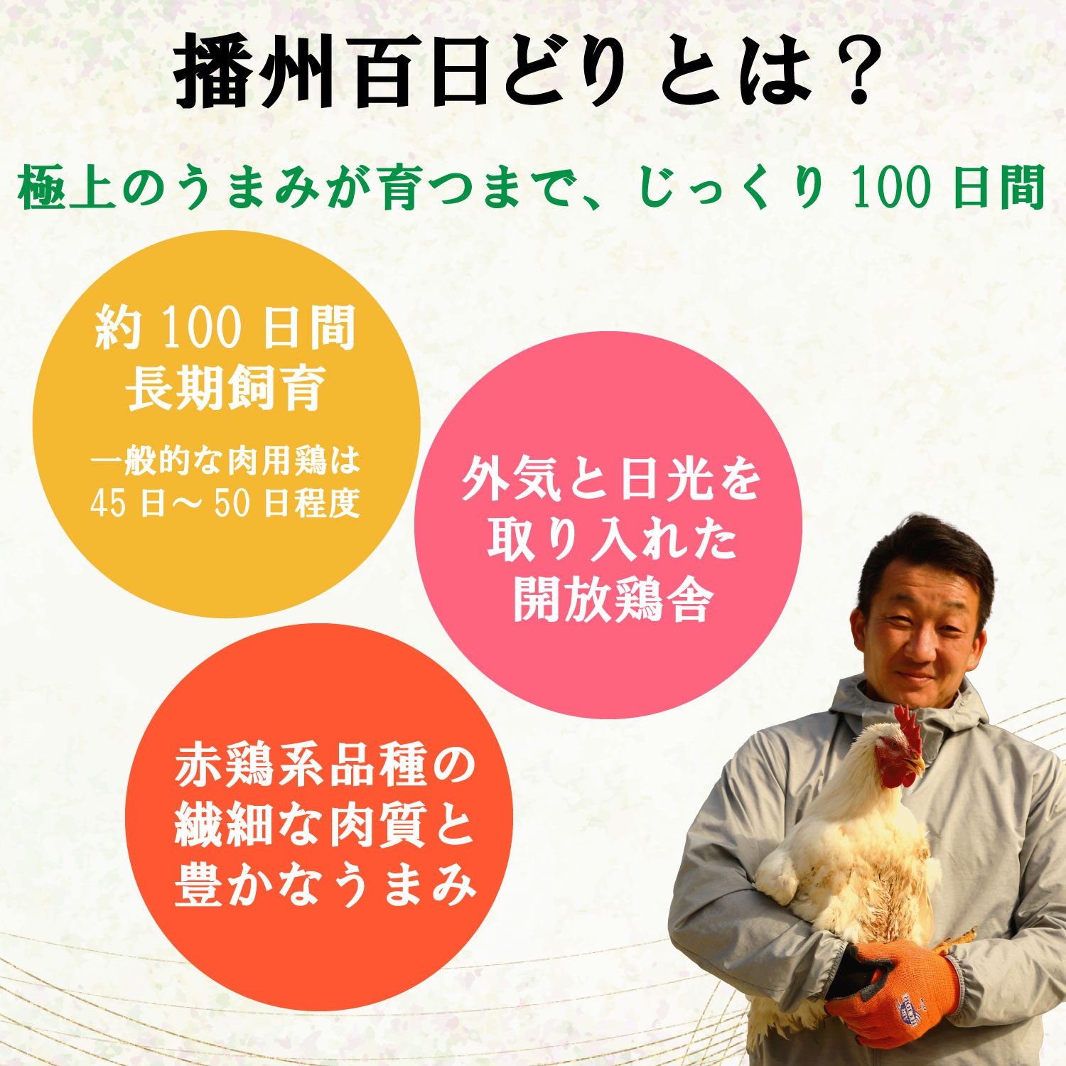 【多可町×加西市】アラジン グリル＆トースターグリーン×播州百日どり 冷凍小分け もも肉・むね肉1.2kg[806]