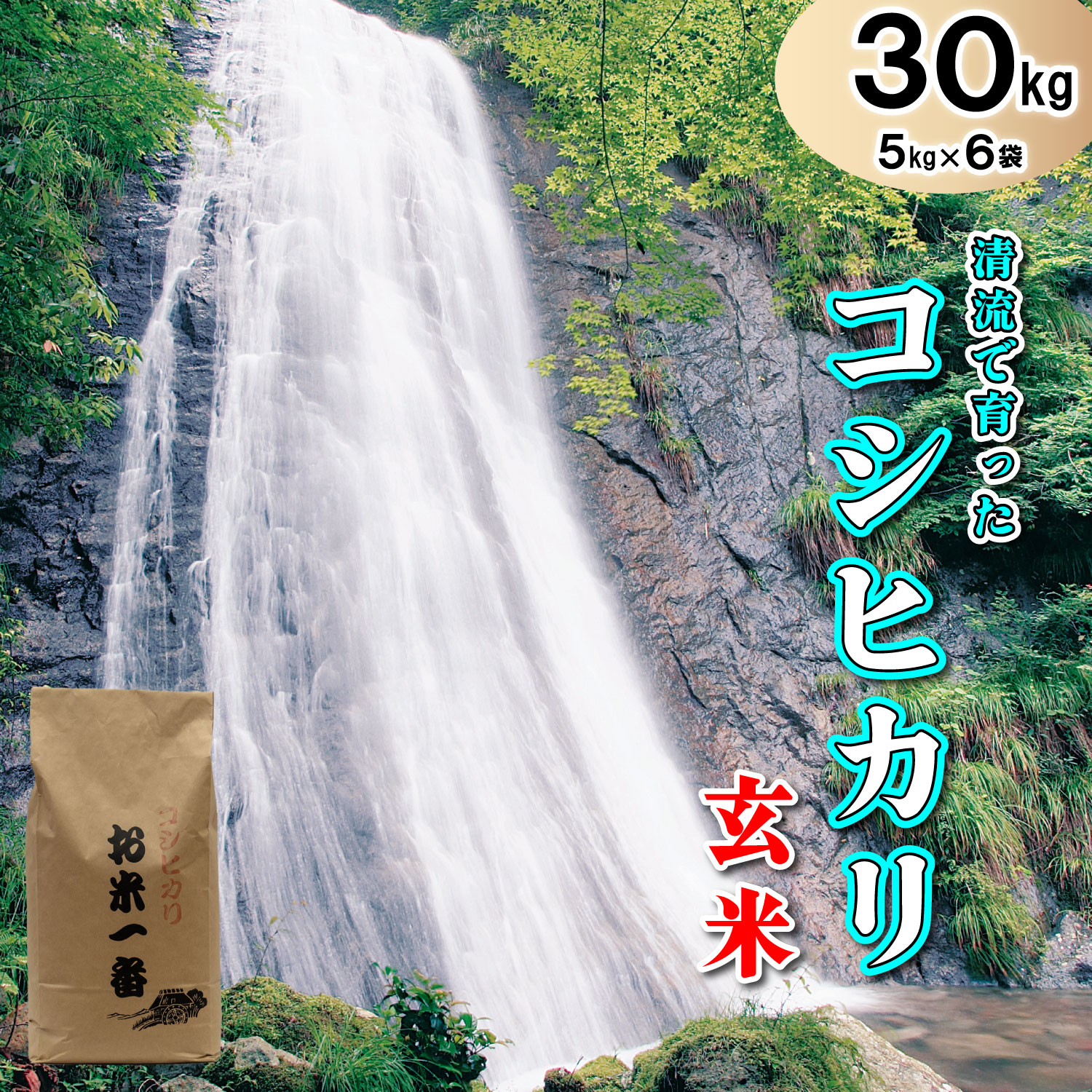 多可町加美区の清流で育ったコシヒカリ【玄米】５kg×６袋[831]