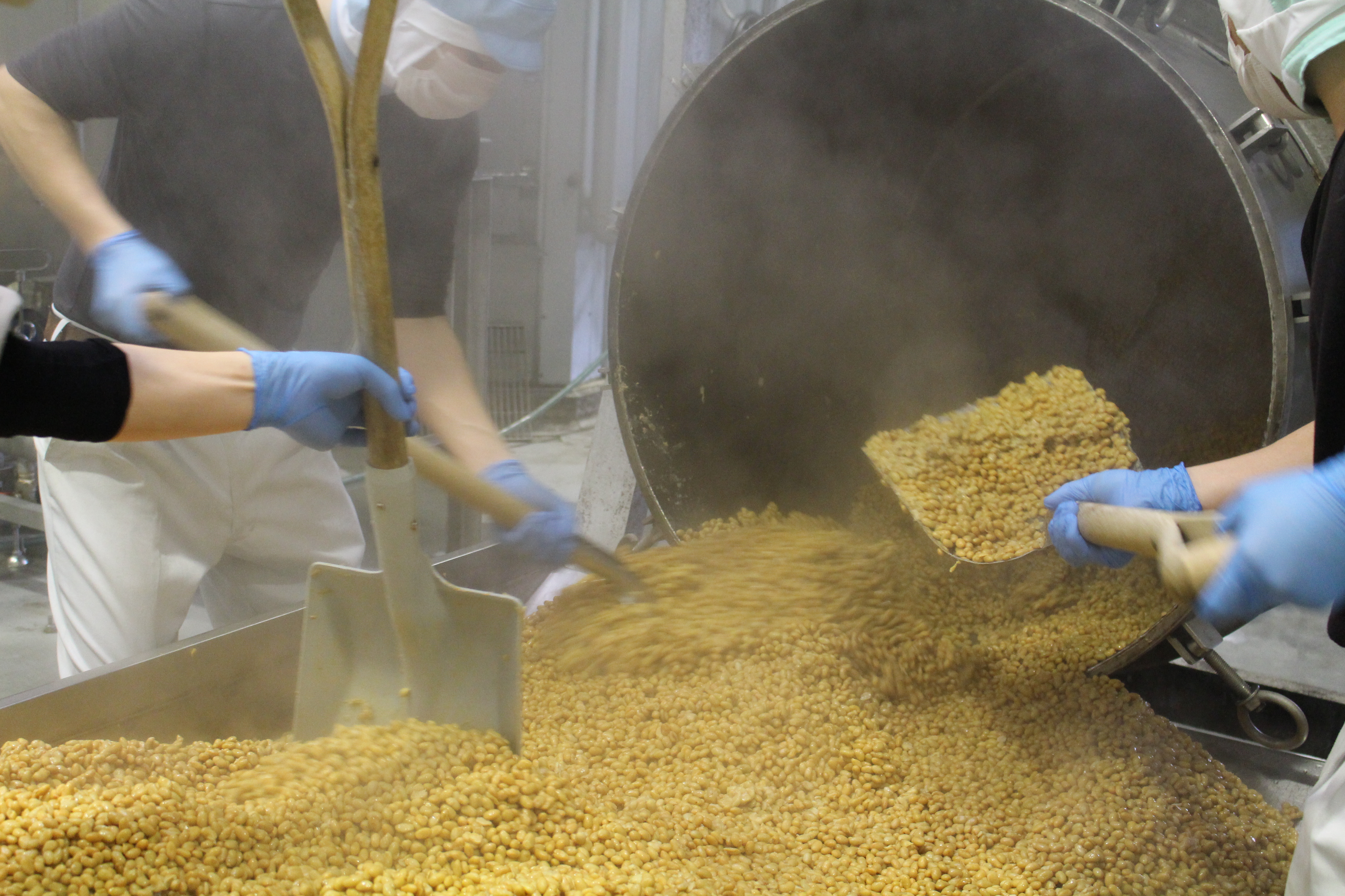 木桶仕込み自然栽培味噌「結」と国産有機味噌5個詰め合わせ[541]