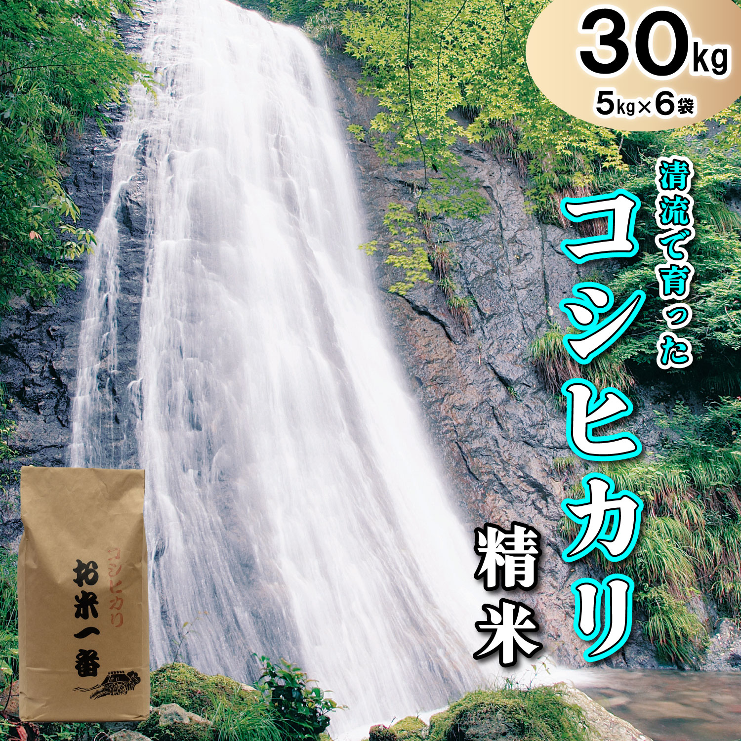 多可町加美区の清流で育ったコシヒカリ【精米】５kg×６袋[827]