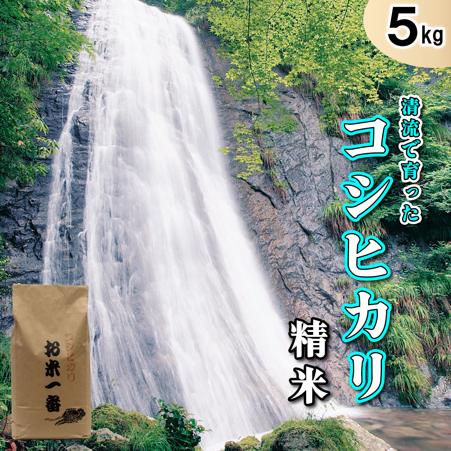 多可町加美区の清流で育ったコシヒカリ【精米】５kg[830]