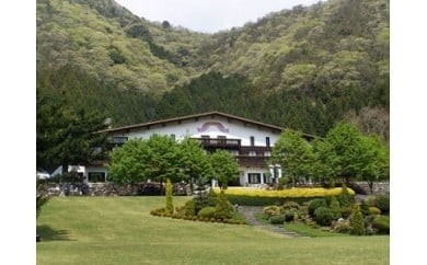 ランチペアチケット [299]