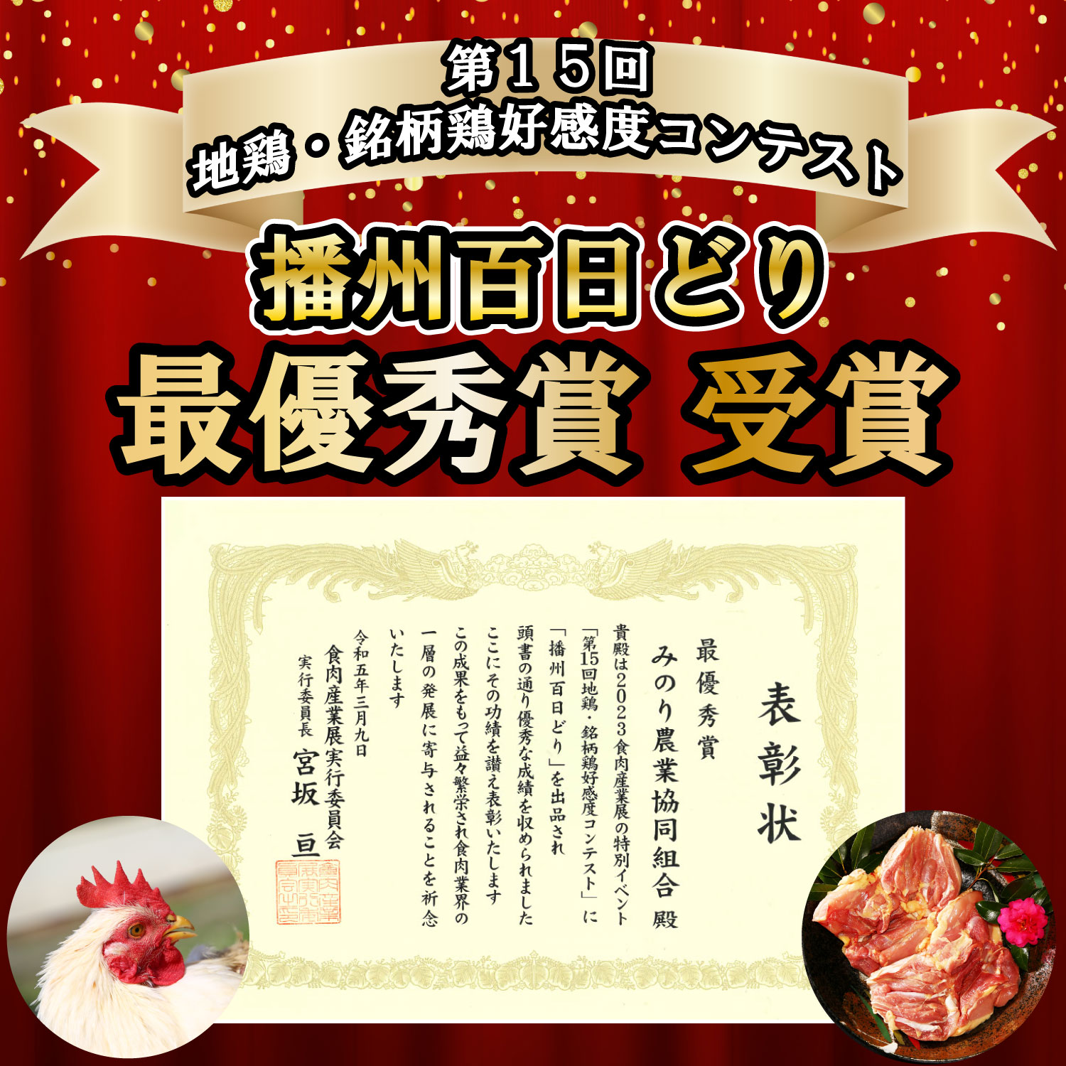 【多可町×加西市】アラジン グリル＆トースターグリーン×播州百日どり 冷凍小分け もも肉・むね肉1.2kg[806]