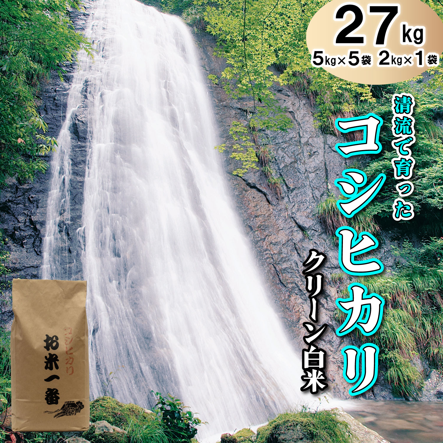 【クリーン白米】多可町加美区の清流で育ったコシヒカリ27kg[832]