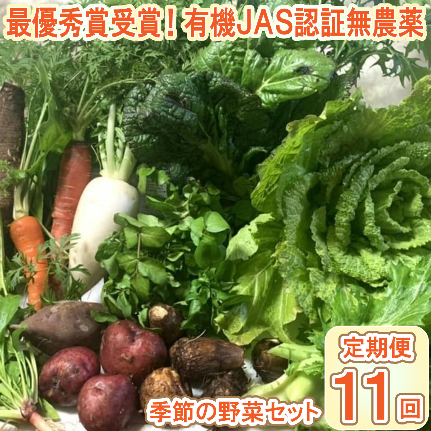 【最優秀賞受賞！甘味＆栄養】有機JAS認証の無農薬、チヨちゃんの野菜11ヶ月定期[961]