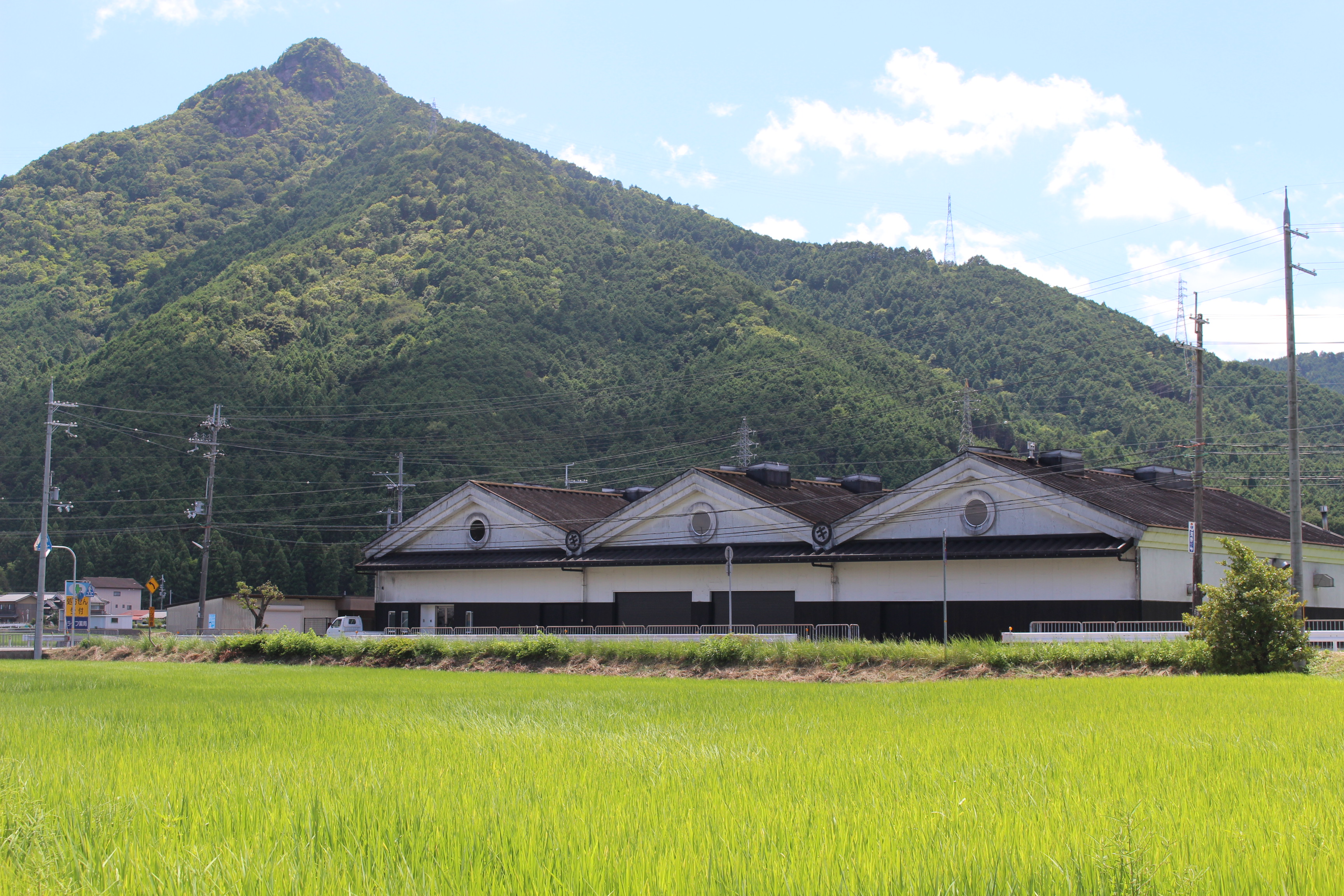 木桶仕込み、自然栽培味噌「結」4個と蔵主のこだわり味噌4個詰め合わせ[534]