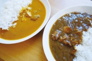 いろいろセット１ とりめしの具 とりつま味 播能チキン こっこカレー 常温 レトルト 播州百日どり 非常用 おつまみ[1043]