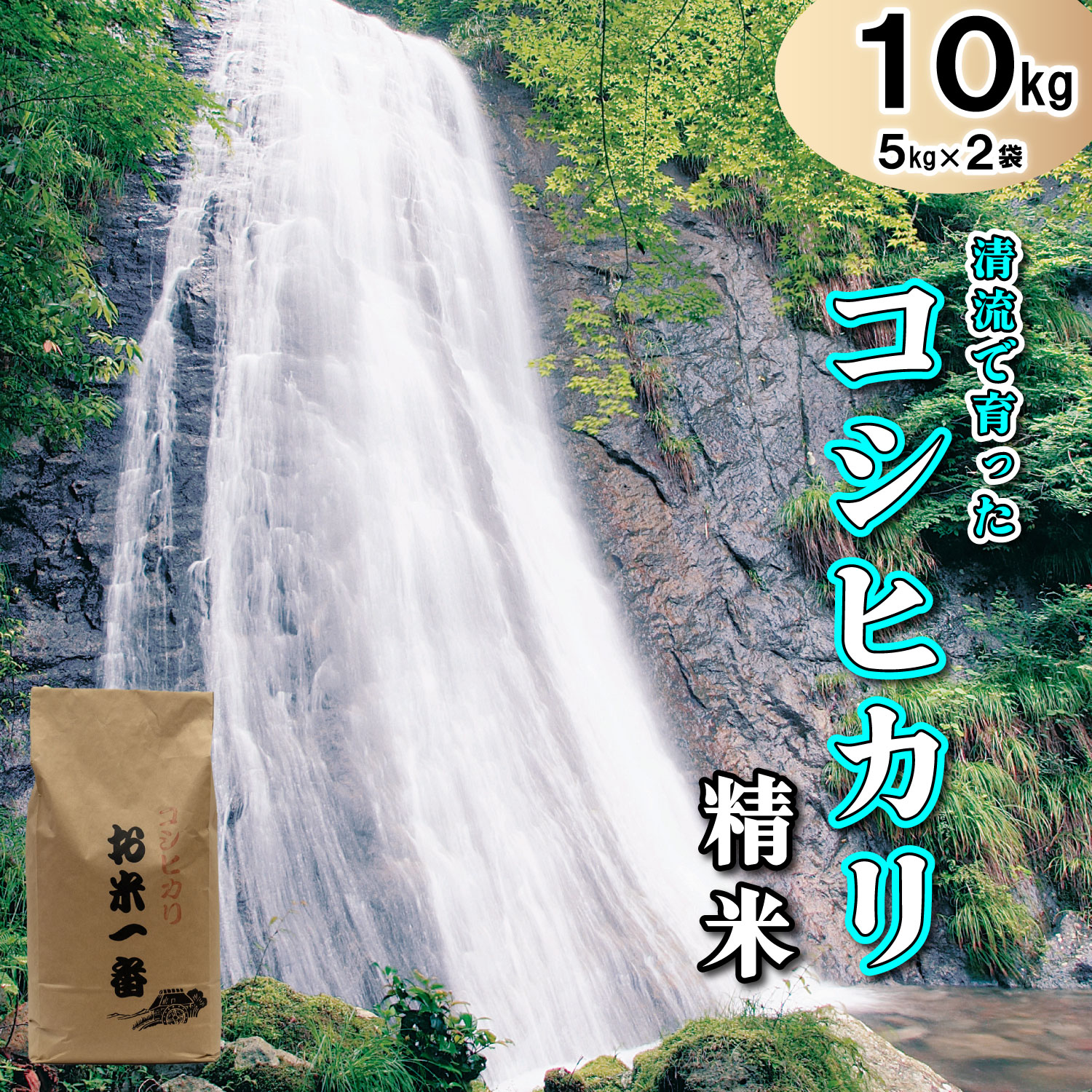 多可町加美区の清流で育ったコシヒカリ【精米】５kg×２袋[829]