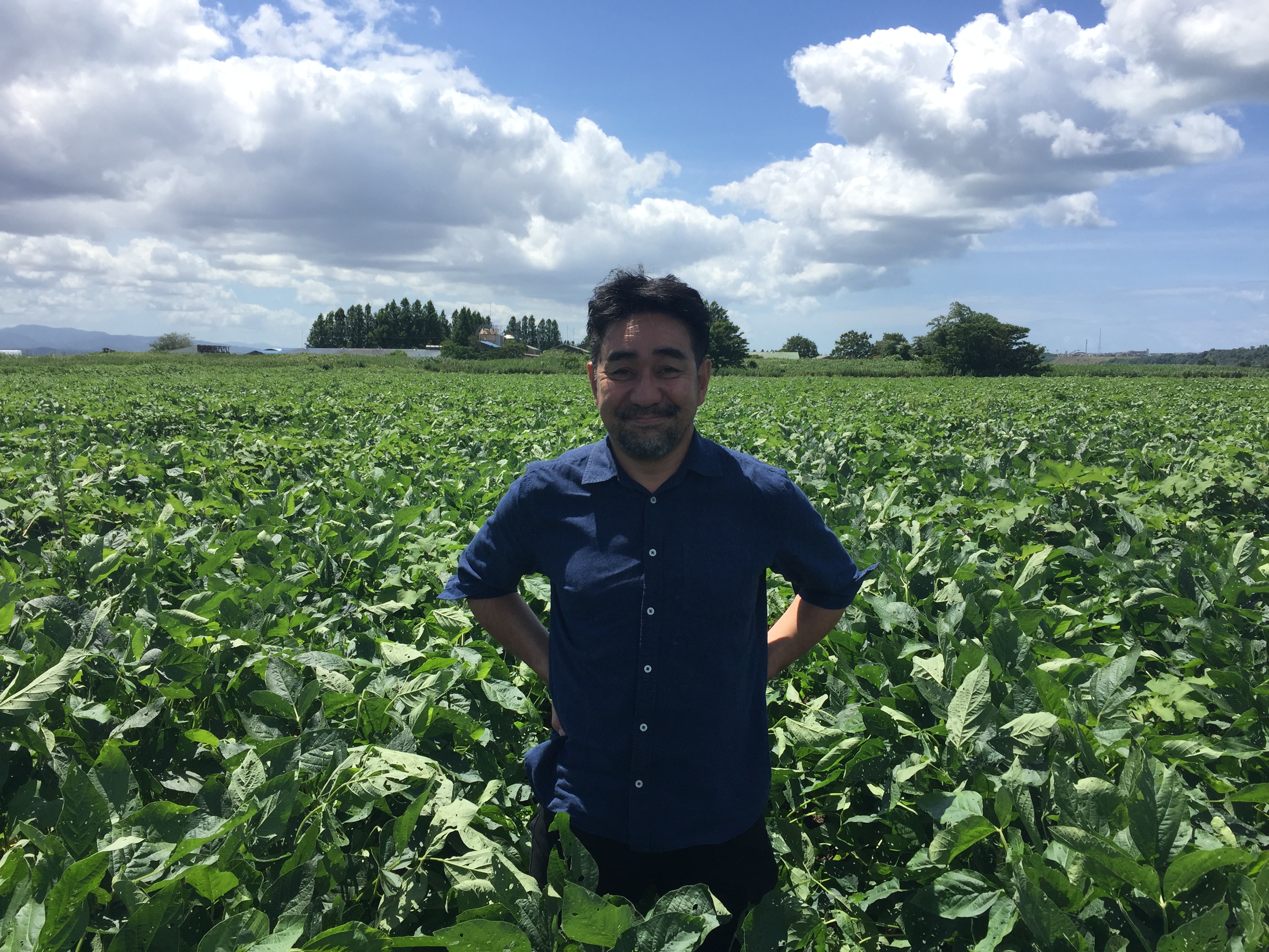 自然栽培味噌「結」と国産有機醤油、有機味噌詰め合わせ[539]