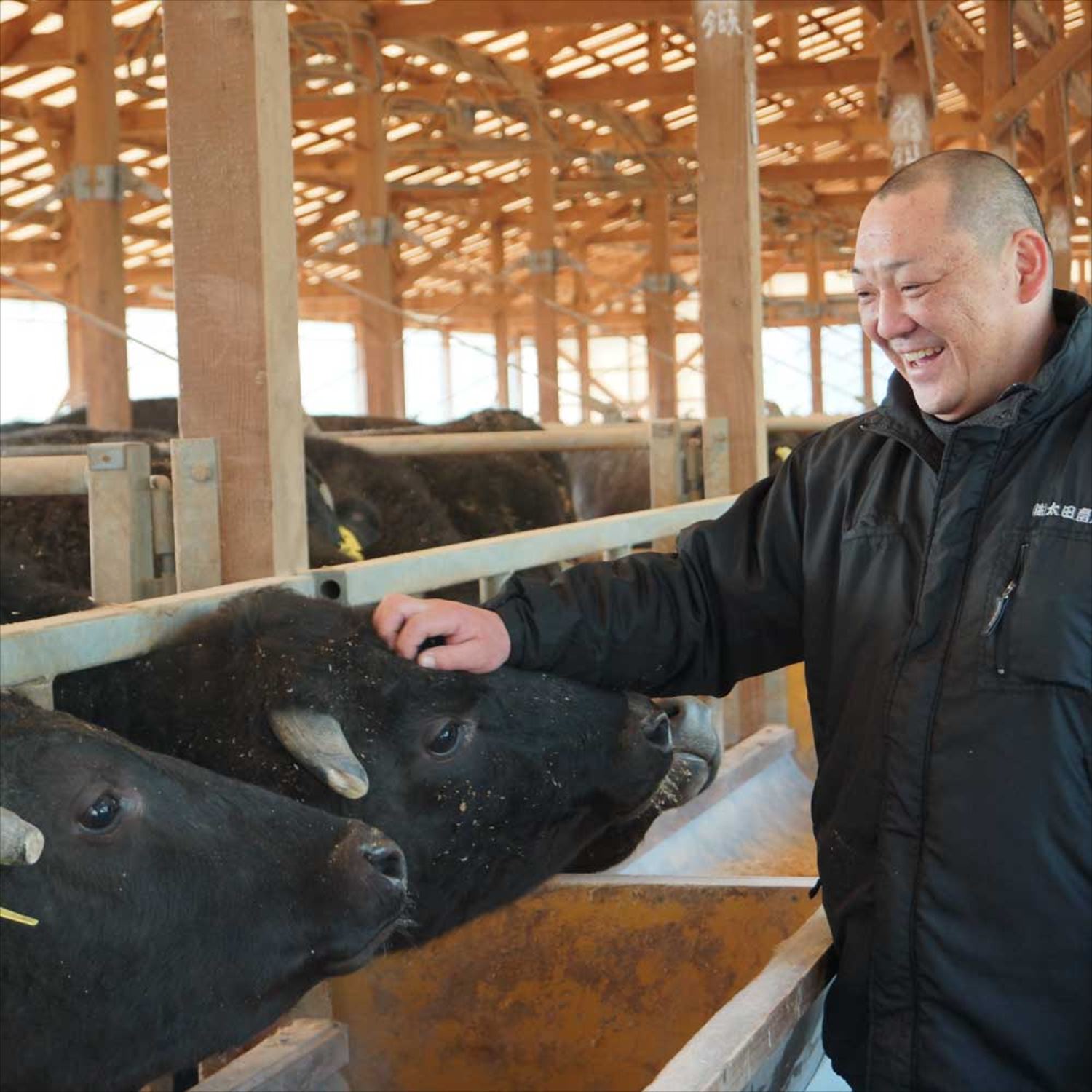 神戸牛 焼肉用 TKY3[611]