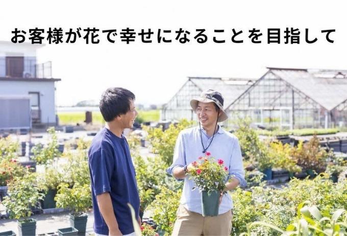 花 季節の花苗 セット 花き品評会理事長賞受賞 花苗 生産者直送 庭 ガーデニング 花壇 苗 苗木 花の苗 花の苗物 配送不可：北海道・沖縄・離島